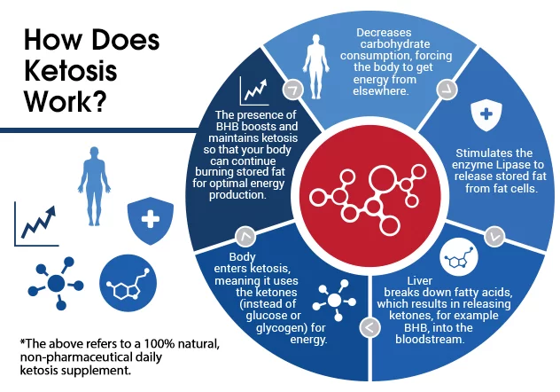 Info graphic that explains how ketosis (keto) works