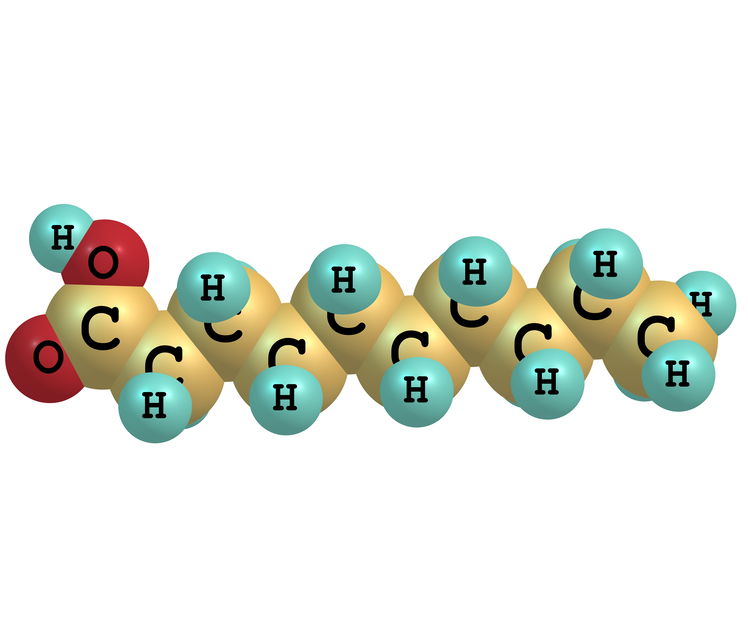 Medium-Chain Triglyceride