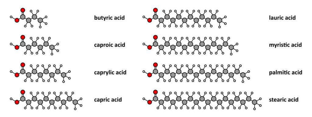 Saturated fatty acids: butyric, caproic, caprylic, capric, lauri