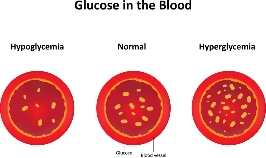 mct oil regulates blood sugar