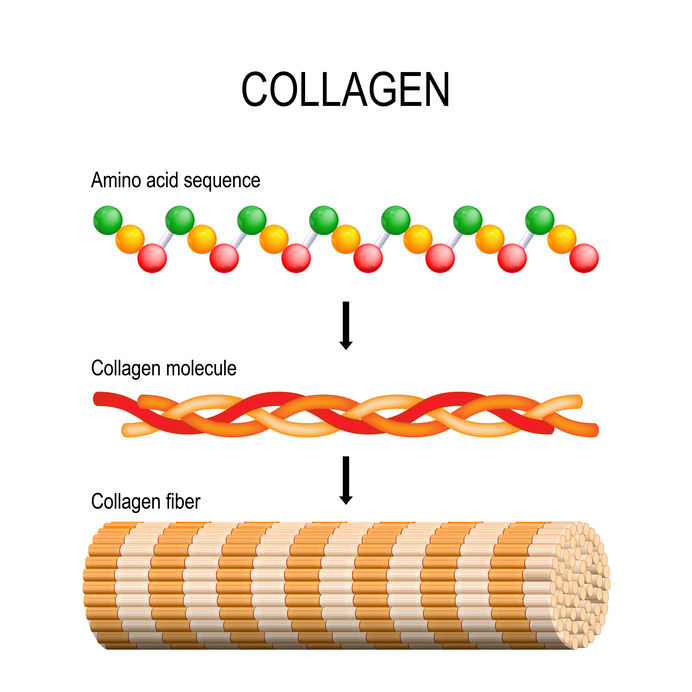 Collagen. Molecular structure.
